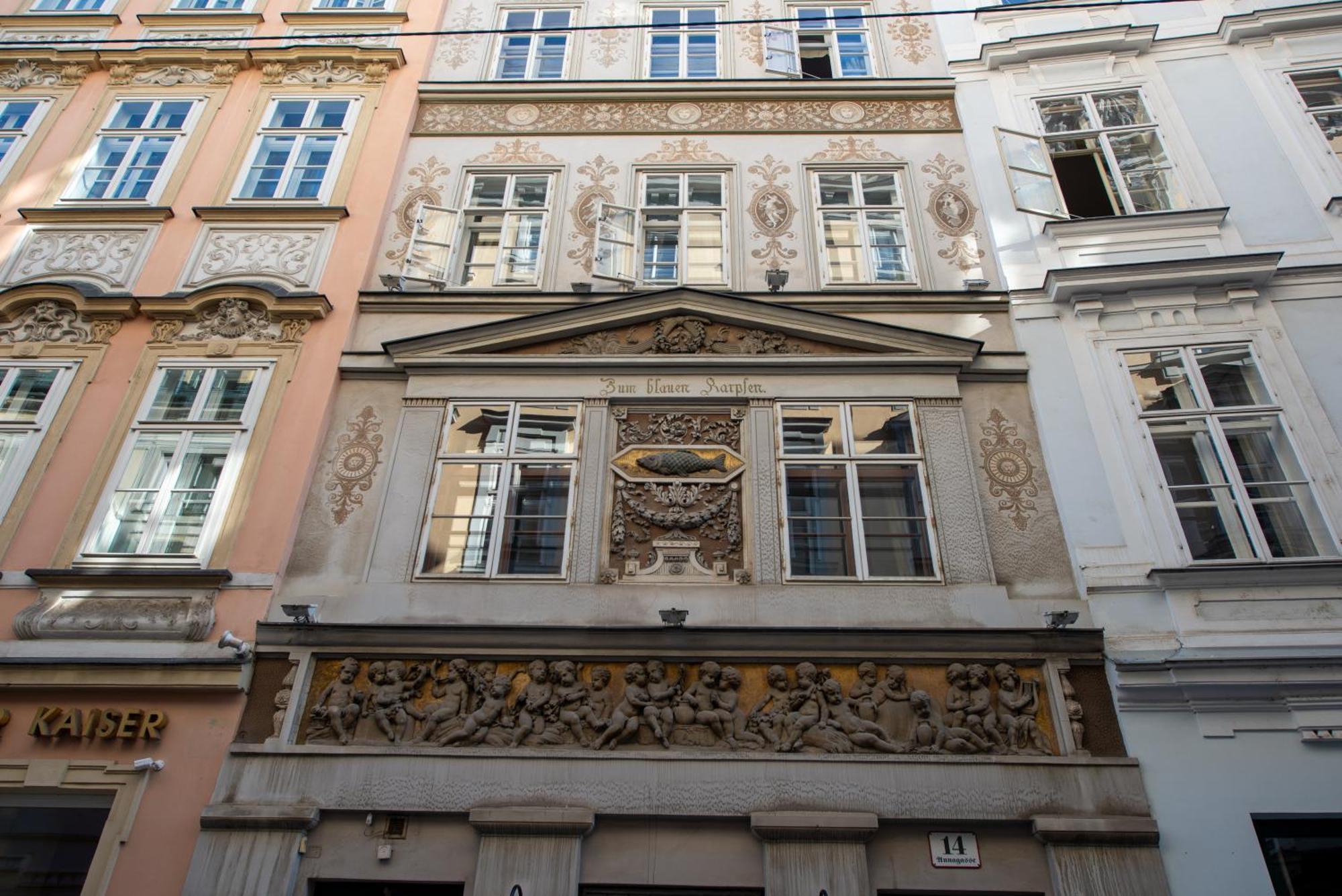 Apartamento Zum Blauen Karpfen Viena